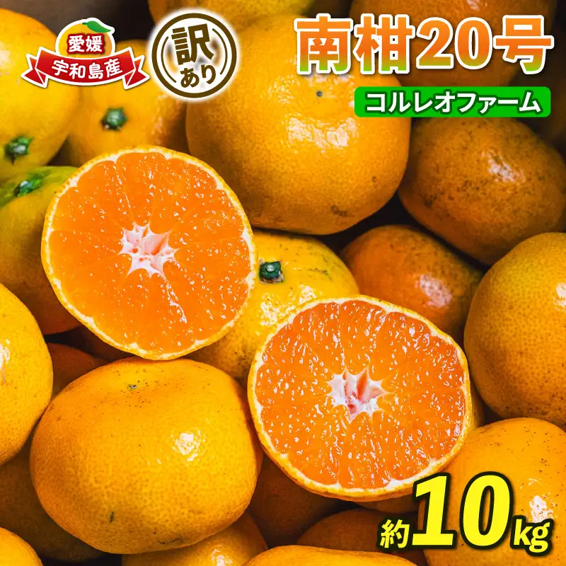 訳あり 南柑20号 温州みかん 10kg コルレオファーム わけあり 愛媛ミカン 愛媛みかん みかん フルーツ 柑橘 蜜柑 mikan 温州 果物 くだもの 人気のみかん 美味しいみかん 濃厚みかん 温州蜜柑 産地直送 数量限定 国産 愛媛 宇和島 B012-145009