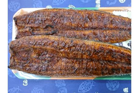 国産うなぎ長焼き2尾(約190g～210g) (a20-231)