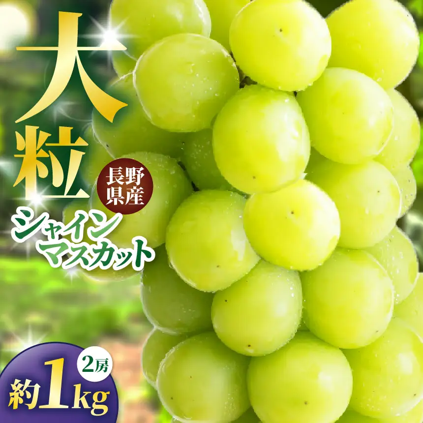 信州高遠町産 種なし シャインマスカット 2房 約1kg【010-83】