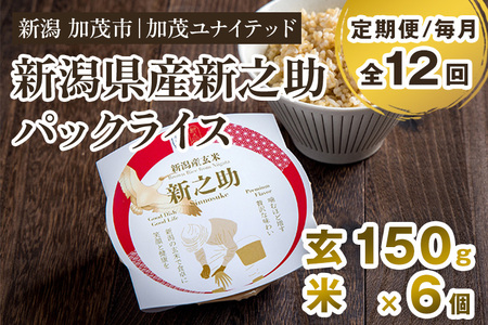 ※旧ページ※【12ヶ月定期便】新潟県産 新之助 玄米パックライス（150g×6個入） 