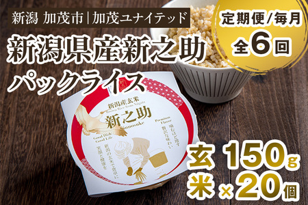 ※旧ページ※【6ヶ月定期便】新潟県産 新之助 玄米パックライス（150g×20個入） 