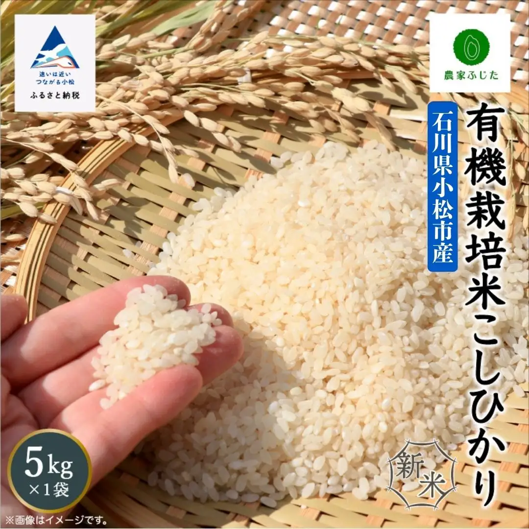 こしひかり 精米 5kg 有機栽培米 令和8年産 こしひかり コシヒカリ 農家ふじた