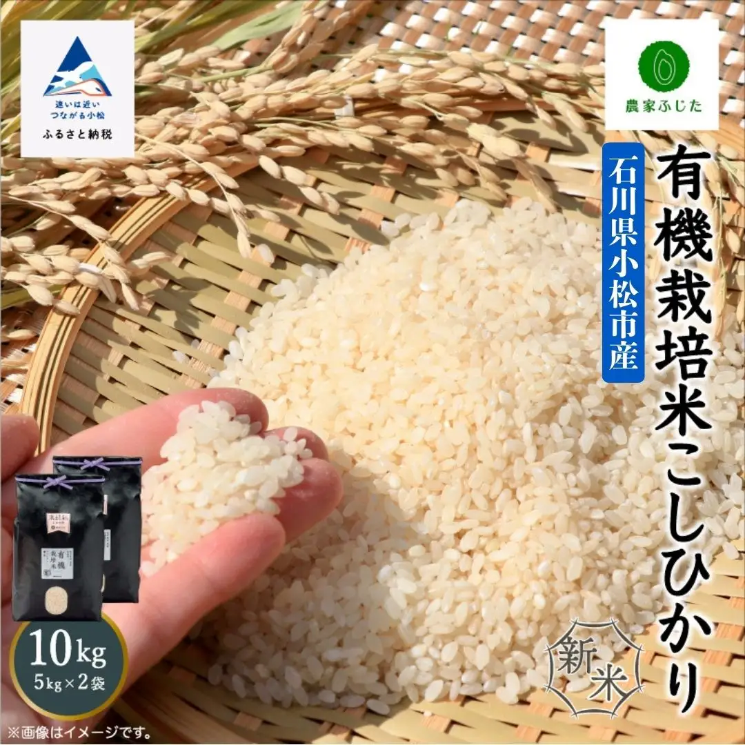 コシヒカリ 精米 10kg 有機栽培米 令和8年産 コシヒカリ こしひかり 農家ふじた
