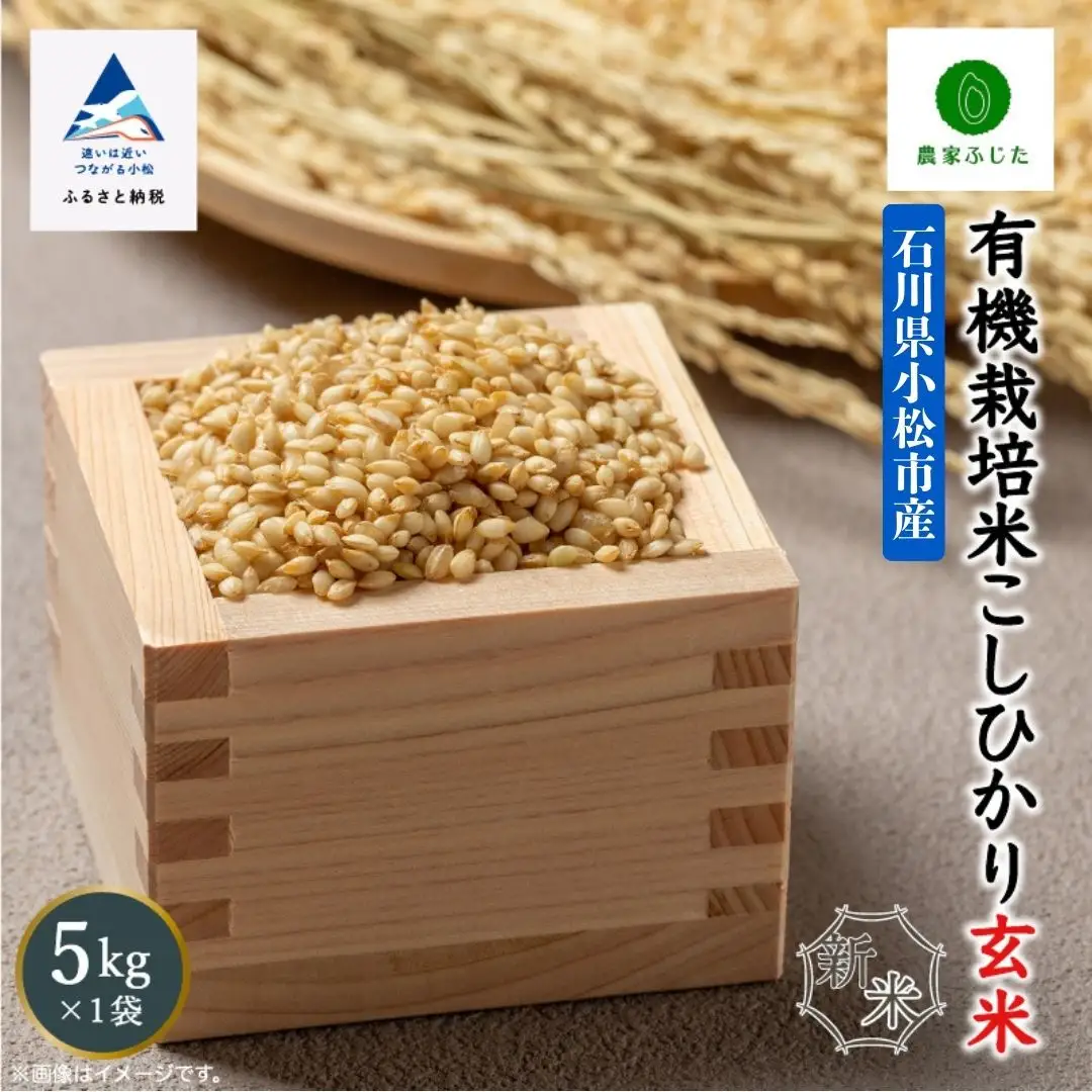 こしひかり 玄米 5kg 有機栽培米 令和8年産 こしひかり コシヒカリ 農家ふじた