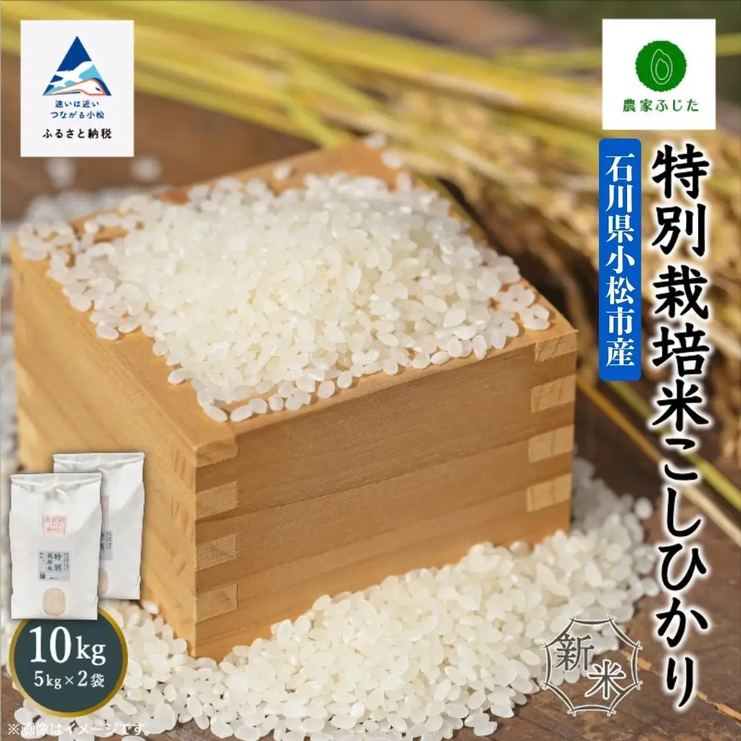 コシヒカリ 精米 10kg 特別栽培米 令和8年産 コシヒカリ こしひかり 農家ふじた