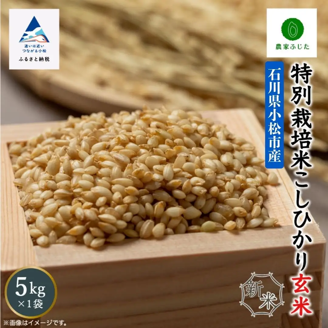 こしひかり 玄米 5kg 特別栽培米 令和8年産 こしひかり コシヒカリ 農家ふじた