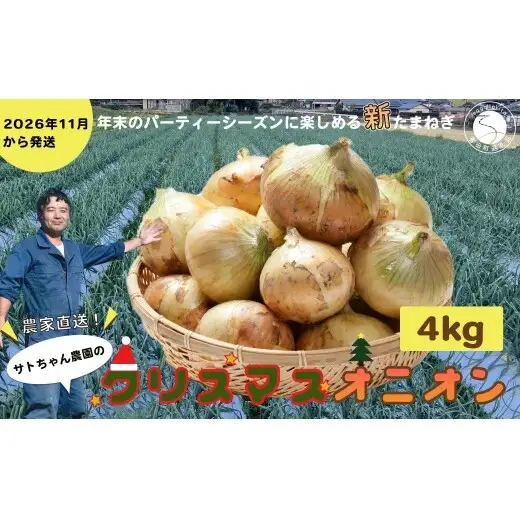 【2026年11月～発送】農家直送！サトちゃん農園のクリスマスオニオン 4kg 【サトちゃん農園】たまねぎ 新玉ねぎ しんたま クリスマス 料理 サラダ フレッシュ ごちそう | 10000円以内 1万円以内 | fu001