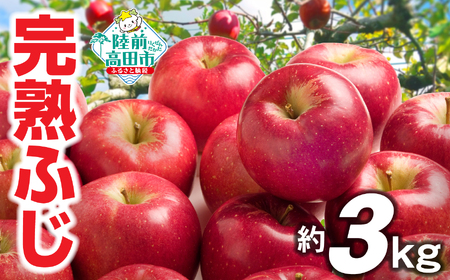 【先行予約】★完熟★ 新鮮りんご ふじ 約3kg りんご