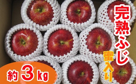【先行予約】★蜜入り★ 新鮮りんご ふじ 約3kg りんご