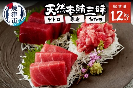 総重量約1250g！天然本鮪三昧 (a30-175)