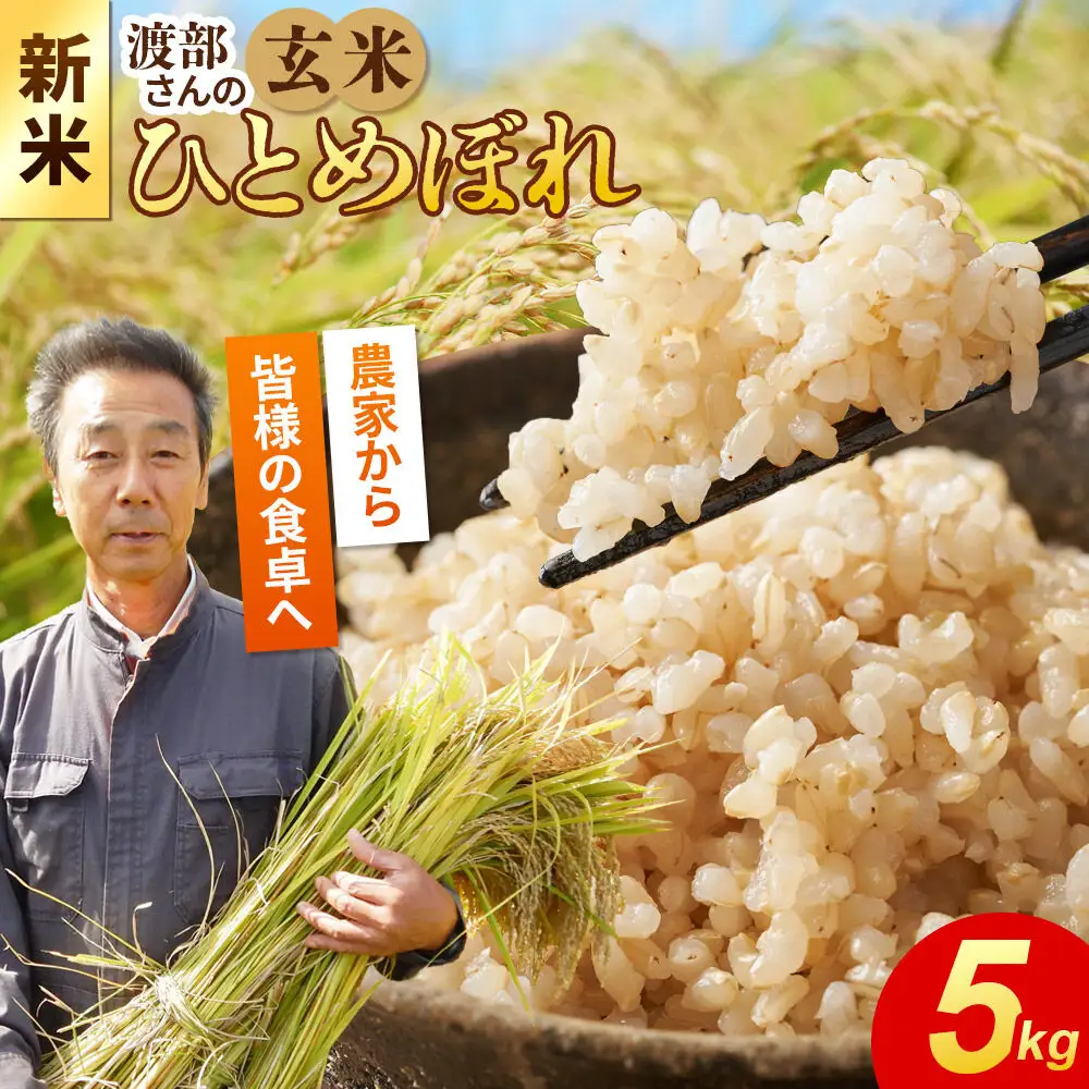 《令和8年産 新米》【玄米】 ＜通算5回 特A＞ ひとめぼれ 5kg 農家直送 渡部さんのひとめぼれ