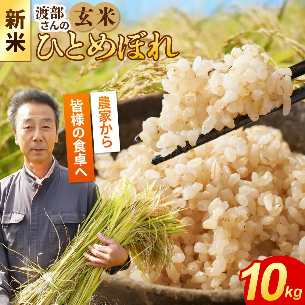 《令和8年産 新米》【玄米】 ＜通算5回 特A＞ ひとめぼれ 10kg 農家直送 渡部さんのひとめぼれ
