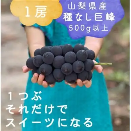 巨峰ぶどう(種なし) 1房500グラム以上 産地直送 山梨県山梨市牧丘産【配送不可地域：離島・沖縄県】【1535989】