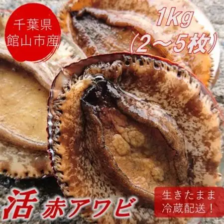 【金曜日発送】漁師直送!天然活メガイアワビ1kg(2～5枚)【配送不可地域：離島・北海道・沖縄県・東北・中国・四国・九州】【1532974】
