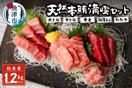 天然本鮪満喫セット (a50-096)