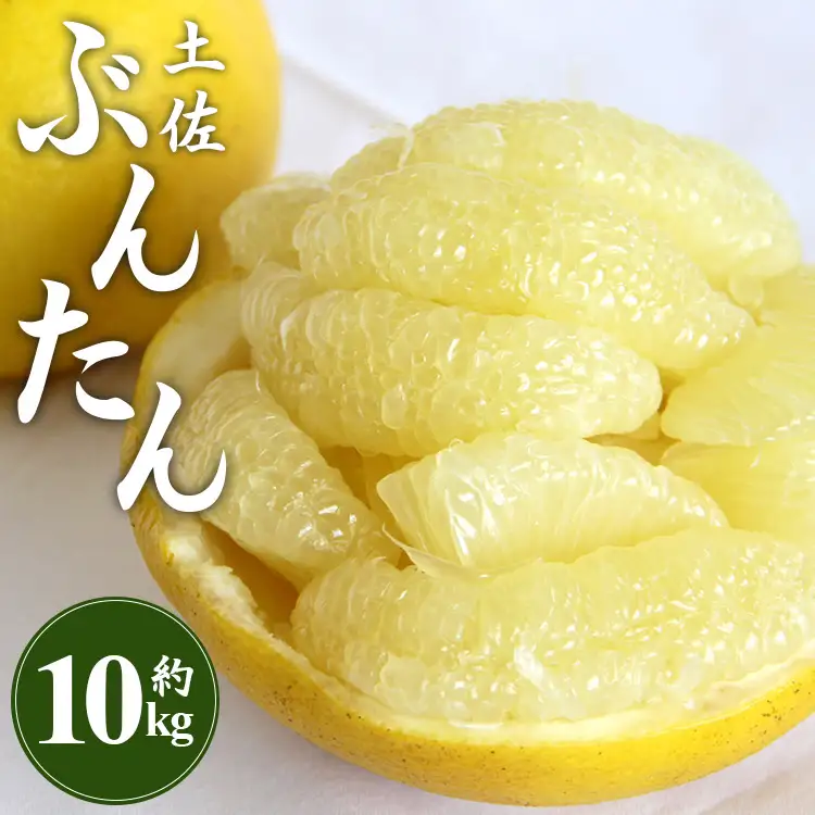 土佐文旦 10kg 文旦 ms-0092 | 高知県香南市 | ふるさと納税サイト