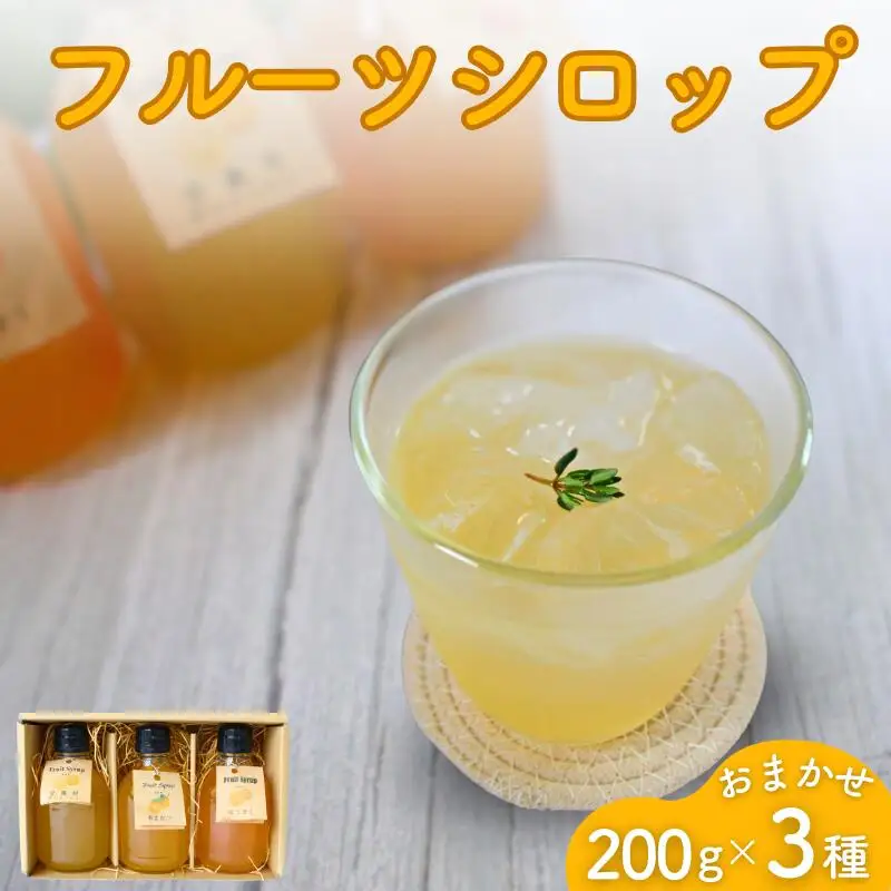 シロップ フルーツシロップ おまかせ3種セット（200g×3） 【ktr021】