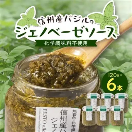 朝採れ信州産バジルのジェノベーゼソース 120g×6本【配送不可地域：近畿】【1437610】