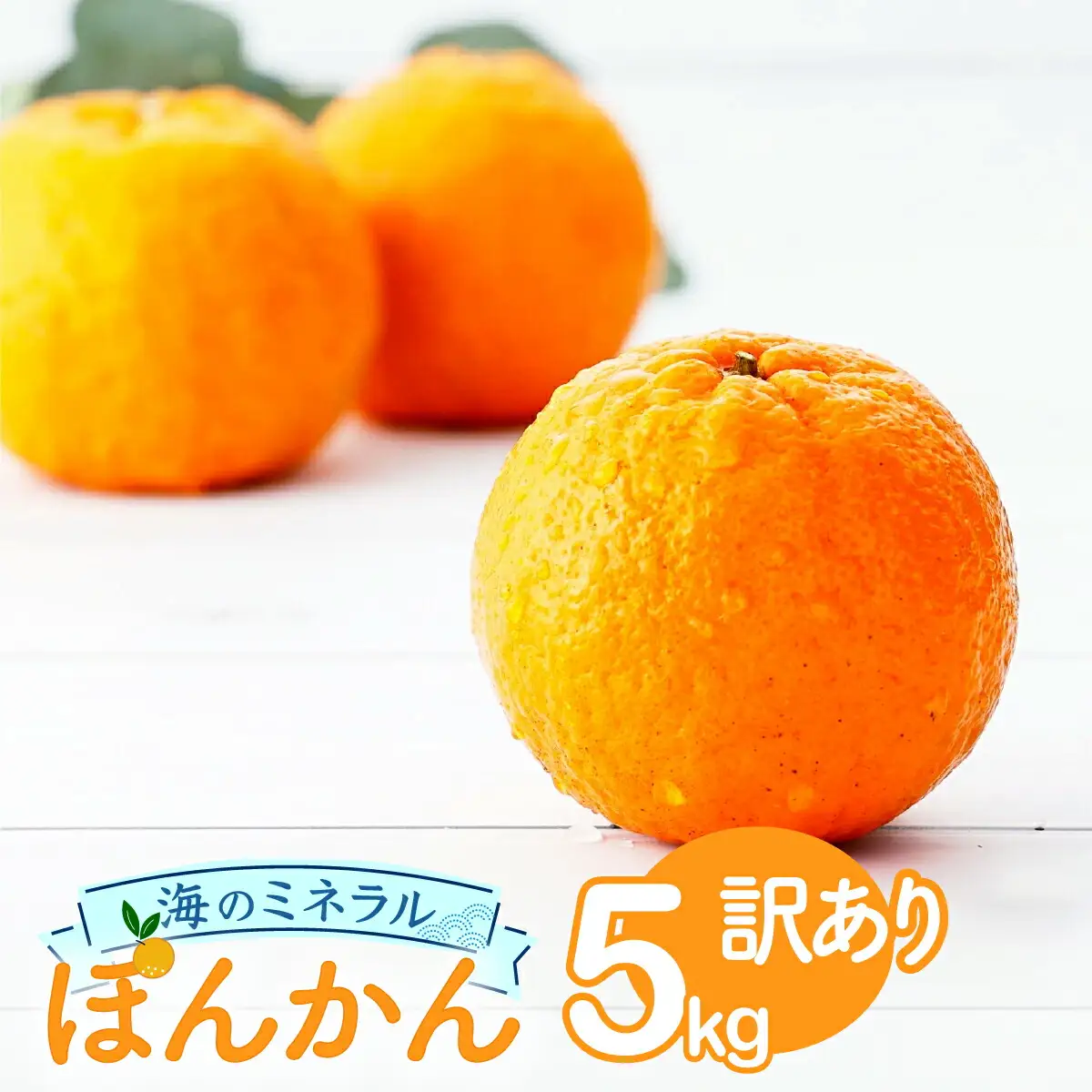  ポンカン 5kg〈訳あり〉 【畠口農園（畠口　伸二）】