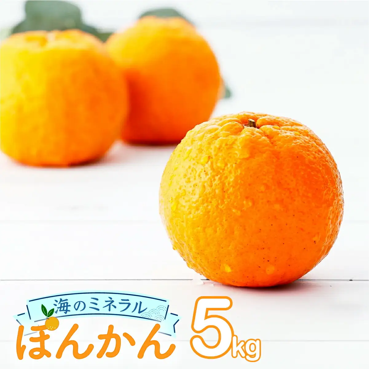  ポンカン 5kg 【畠口農園（畠口　伸二）】