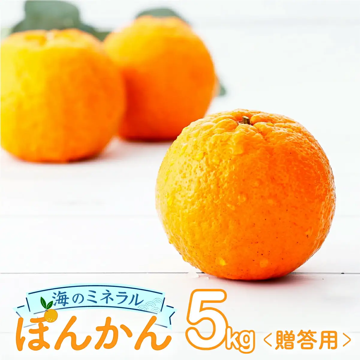 ポンカン 5kg〈贈答用〉【畠口農園（畠口　伸二）】