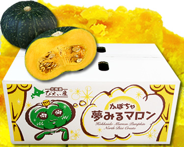 かぼちゃ 10kg ≪令和8年産予約受付！≫おおとり 夢みるマロン 南瓜 