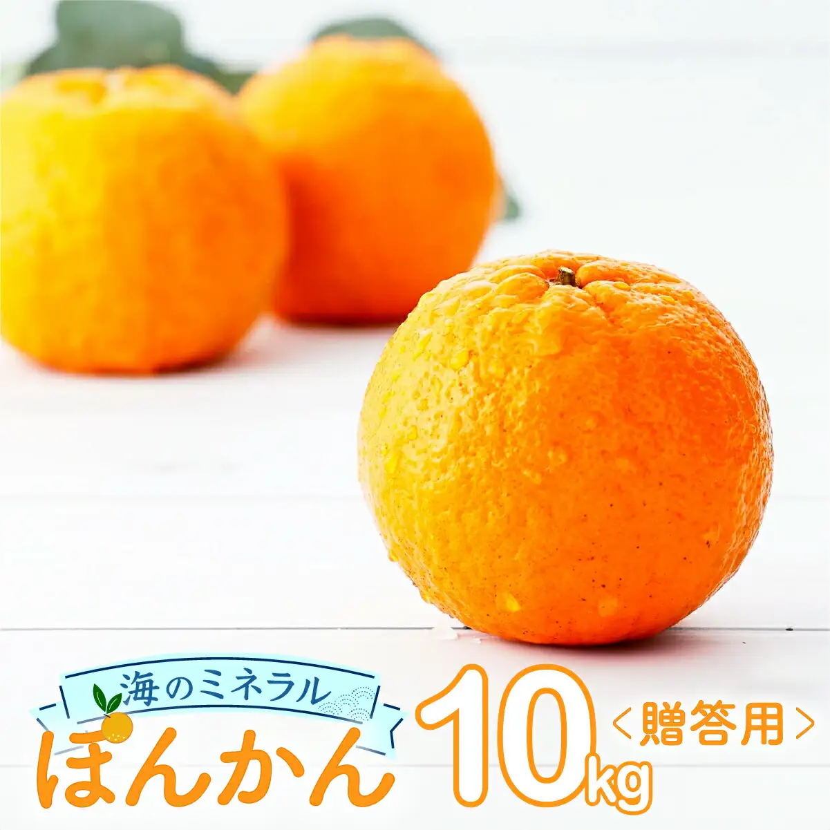 ポンカン 10kg〈贈答用〉【畠口農園（畠口　伸二）】