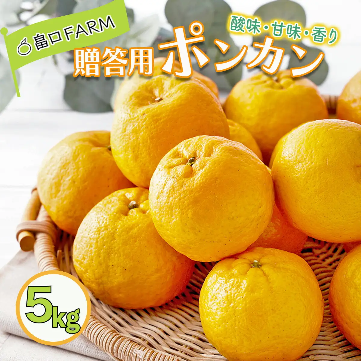 【先行予約】ポンカン 贈答用 5kg【畠口FARM（畠口　佳養）】