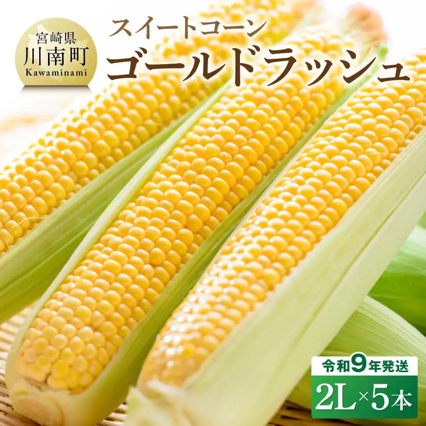 【令和9年産】スイートコーン「ゴールドラッシュ」2L×5本 【 新鮮 農家直送 トウモロコシ 産地直送 季節限定 期間限定 宮崎県産 九州産 】