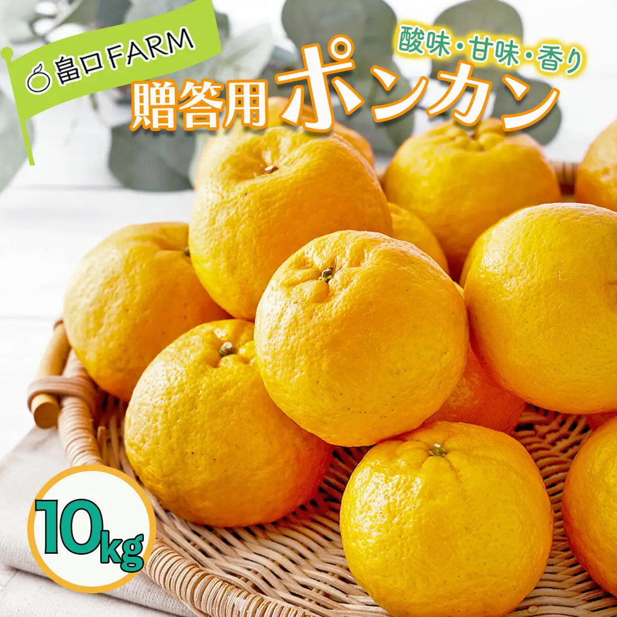 【先行予約】ポンカン 贈答用 10kg 【畠口FARM（畠口　佳養）】