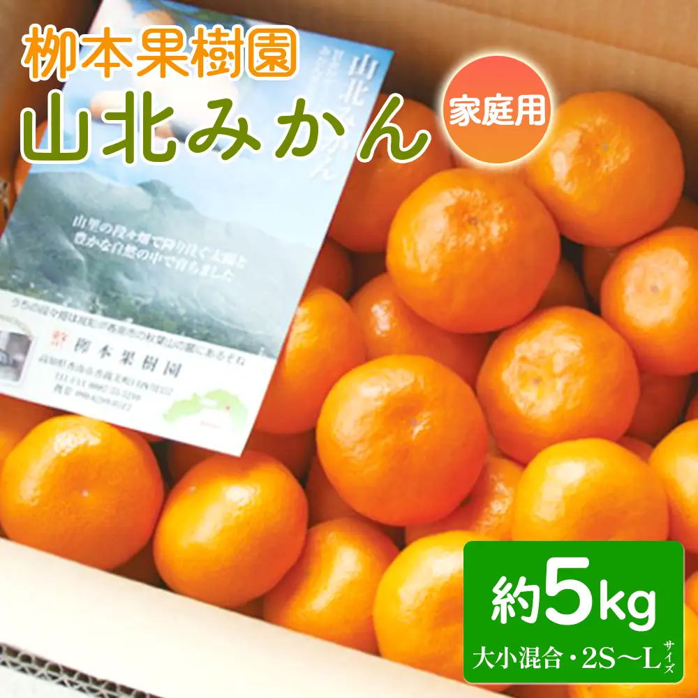 家庭用 柳本果樹園の山北みかん 5kg 大小混合(2S～L) - 果物 フルーツ 柑橘類 温州みかん ミカン 蜜柑 甘い おいしい 訳あり キズ 大小混合 期間限定 季節限定 数量限定 高知県 香南市 yg-0031