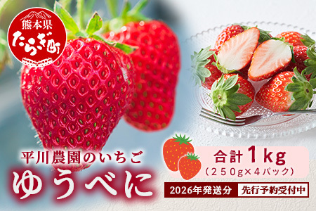 熊本県産 いちご ゆうべに 1kg (250g×4パック) 【2026年出荷分】イチゴ 果物 フルーツ 熊本県 多良木町 農園直送 107-0501
