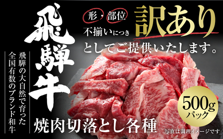 訳あり 飛騨牛 焼肉 切り落とし 500g 訳あり 飛騨高山ミート [MZ013]