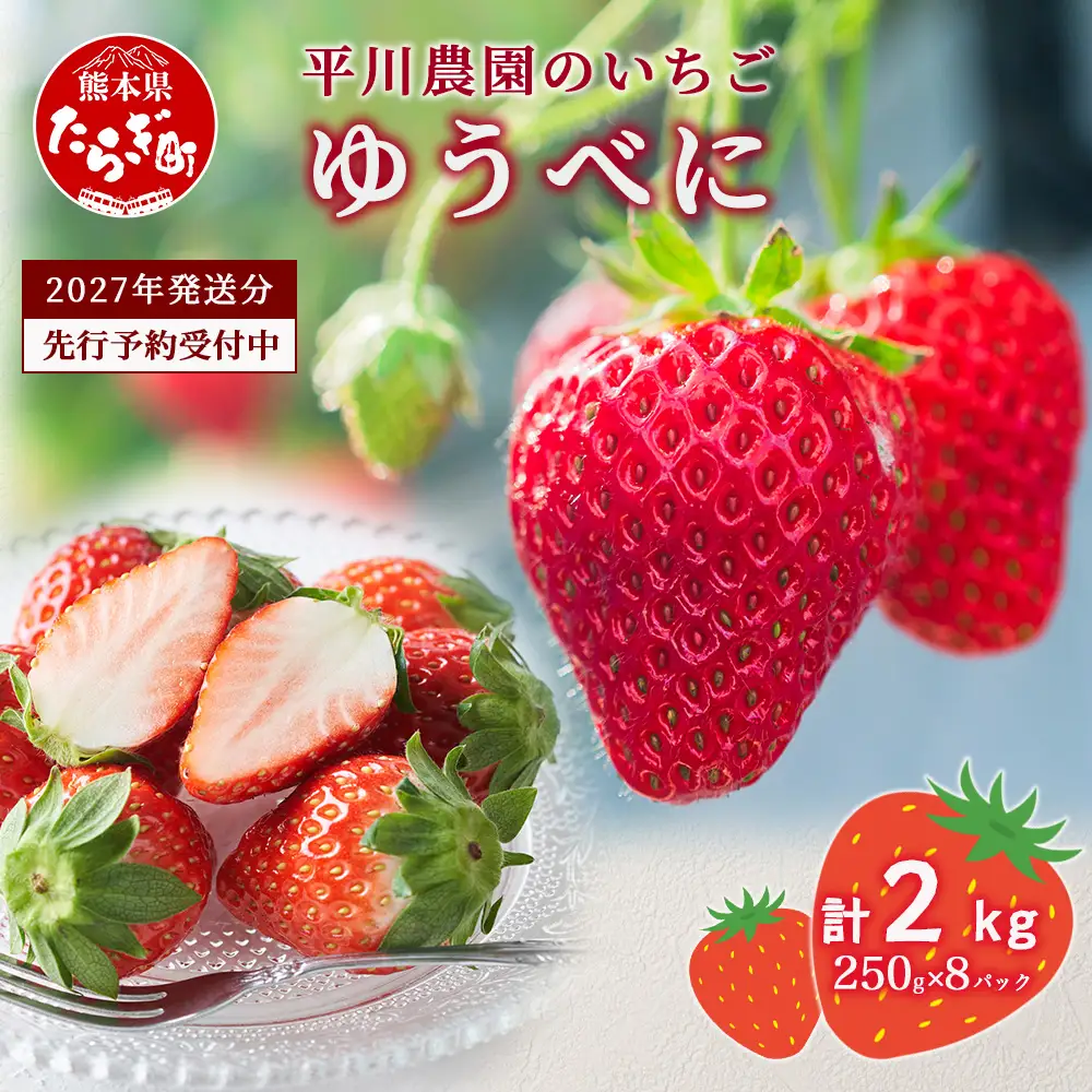 熊本県産 いちご ゆうべに  2kg (250g×8パック)【2027年出荷分】 イチゴ 果物 フルーツ 熊本県 多良木町 農園直送 107-0502