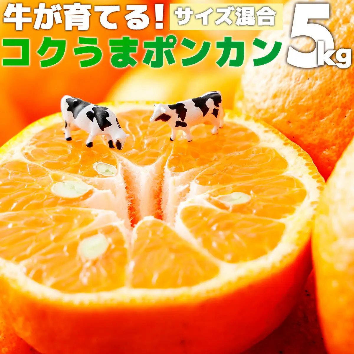 コクうまポンカン＜5kg＞ サイズ混合【小池農園】