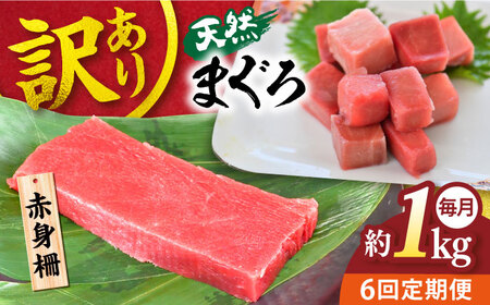 【全6回定期便】【訳あり】天然 まぐろ 赤身（約1kg） わけあり ワケあり 鮪 マグロ 魚 刺身 まぐろ あかみ 横須賀【横須賀商工会議所 おもてなしギフト事務局（本まぐろ直売所 横須賀本店）】 [AKAK057]