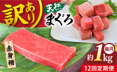 【全12回定期便】【訳あり】天然 まぐろ 赤身（約1kg） わけあり ワケあり 鮪 マグロ 魚 刺身 まぐろ あかみ 横須賀【横須賀商工会議所 おもてなしギフト事務局（本まぐろ直売所 横須賀本店）】 [AKAK058]