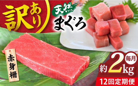 【全12回定期便】【訳あり】天然 まぐろ 赤身（約2kg） わけあり ワケあり 鮪 マグロ 魚 刺身 まぐろ あかみ 横須賀【横須賀商工会議所 おもてなしギフト事務局（本まぐろ直売所 横須賀本店）】 [AKAK061]