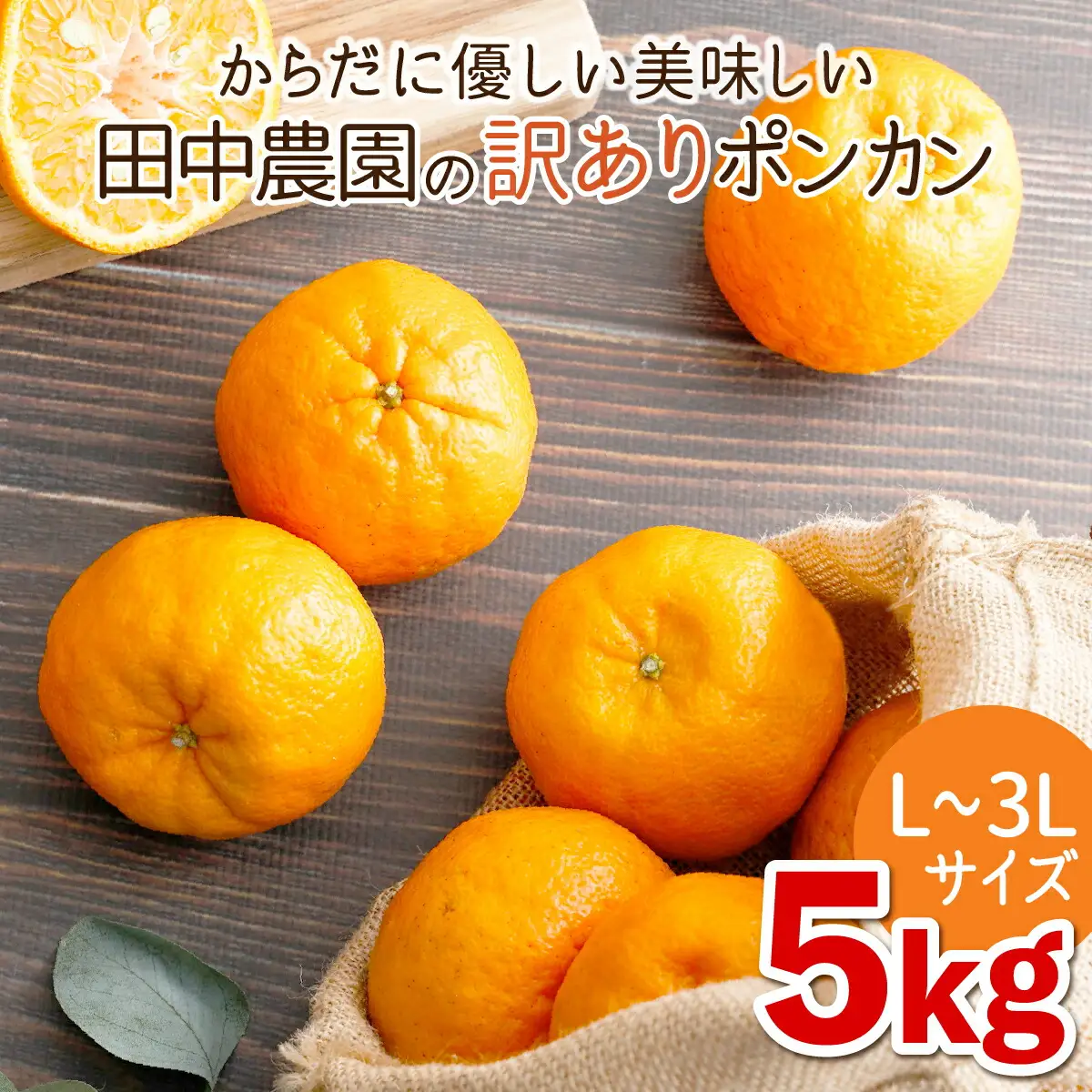 訳ありポンカン 5kg（L~3Lサイズ） 【田中農園】