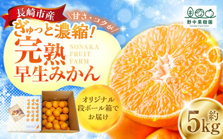完熟 早生みかん 約5kg箱 ／ 期間限定 柑橘 ミカン フルーツ 果物 くだもの みかん ミカン 野中果樹園 オンライン決済限定 アフター保証 長崎県 長崎市  【2026年11月上旬～12月下旬迄発送予定】