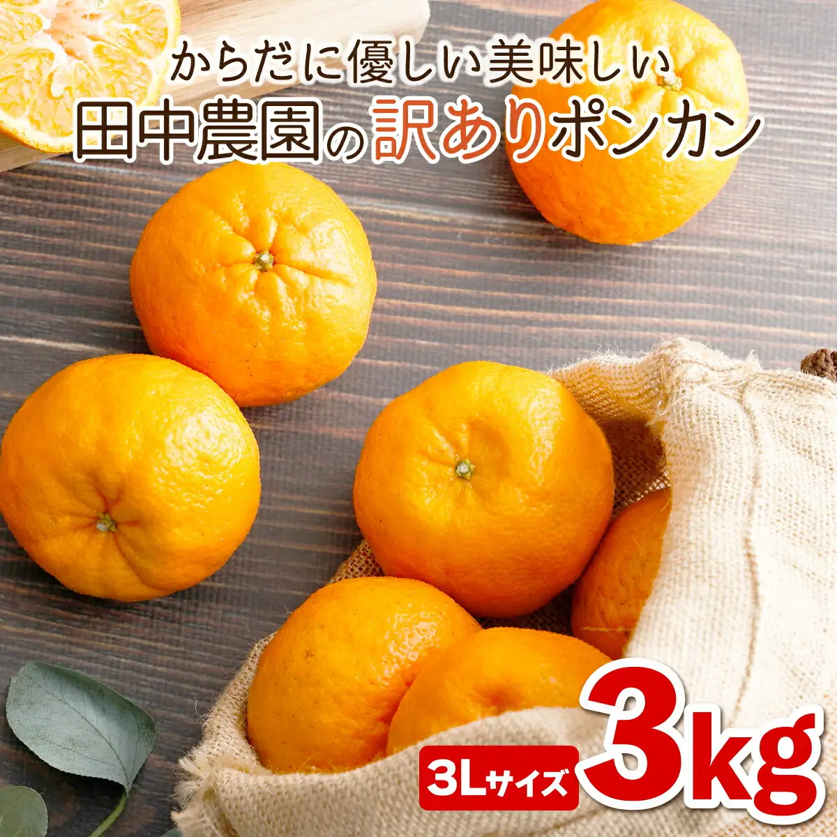 訳ありポンカン 3kg（3Lサイズ）【田中農園】