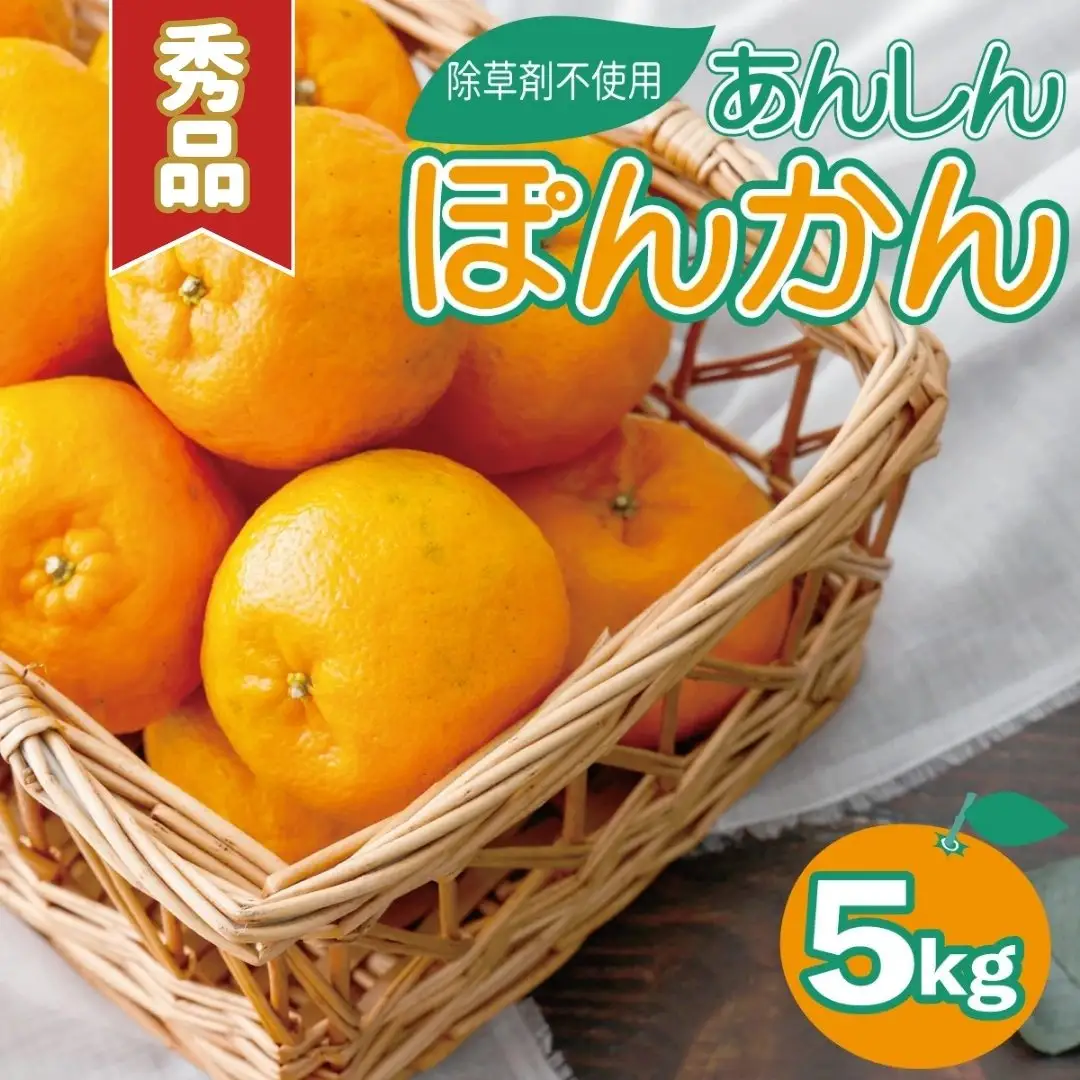 【先行予約】秀品ポンカン＜5kg＞　Teshi04 [TS-01] 【ファーム手島】