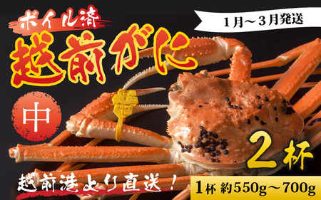 【先行予約】越前港より直送！ 越前がに 中 (約550g～700g) 2杯 ※発送前に在宅確認の電話連絡をいたします!【1月～3月発送予定】  海鮮  ボイル 