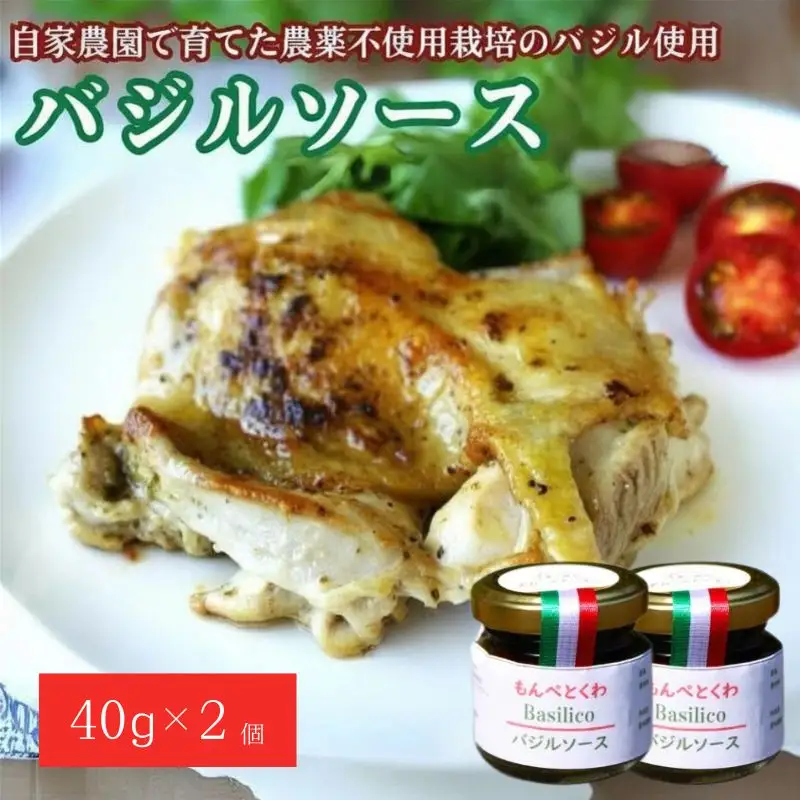 手作りバジルソース　40g×2個 / バジル ソース パスタ 手作り 料理 アレンジ 自家農園 農薬不使用栽培 万能ソース 和歌山 龍神 【mpt001】