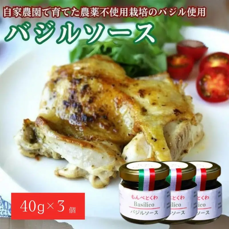 手作りバジルソース　40g×3個 / バジル ソース パスタ 手作り 料理 アレンジ 自家農園 栽培期間中農薬不使用栽培 万能ソース 和歌山 龍神 【mpt002】
