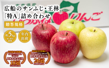 りんご 広船のサンふじ・王林詰合せ約5kg  贈答用 特A16~20玉 12月発送[hi-0004-006]