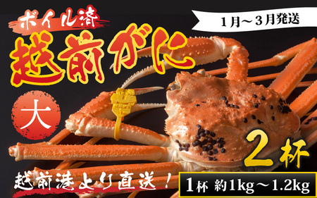 【先行予約】越前港より直送！ 越前がに 大 (約1kg～1.2kg) 2杯 ※発送前に在宅確認の電話連絡をいたします!【1月～3月発送】  海鮮  ボイル 