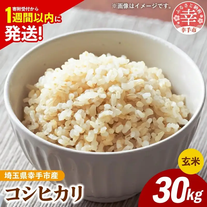 令和7年産 幸手市産 コシヒカリ 玄米30kg 色彩選別済 Brown Rice - お米 米 こしひかり 玄米 30kg 埼玉県 幸手市