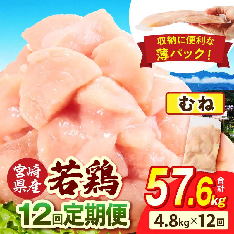 宮崎県産 若鶏切身 むね肉 4.8kg（300g×16袋）【12か月定期便】 肉 お肉 精肉 鶏肉 鶏 鳥 とり とりにく 若鶏 若鳥 むね ムネ肉 切身 カット済み 小分け パック 便利 からあげ お弁当 おかず 宮崎県産 宮崎産 国産 冷凍 定期便 おすそ分け _kn060-t032