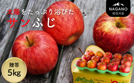 MZ10 南信州産 サンふじりんご 約5kg 贈答用 / 2026年12月中旬頃～12月下旬頃配送予定 // 長野県 南信州 さんふじ サンフジ ふじりんご 贈答 リンゴ 林檎